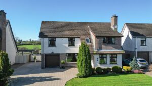 22, Brook Meadow, Doagh, Ballyclare